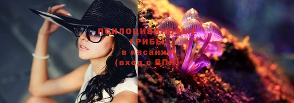 винт Беломорск