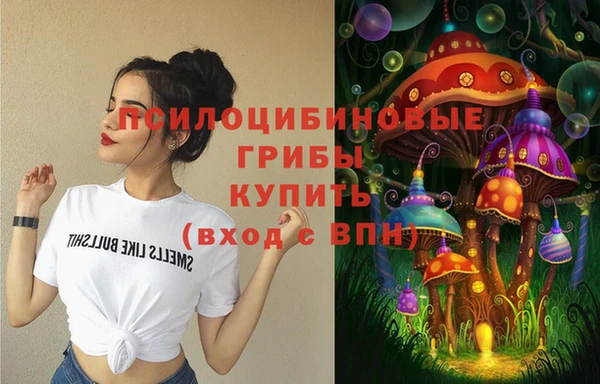 гидропоника Белокуриха