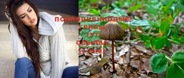 винт Беломорск