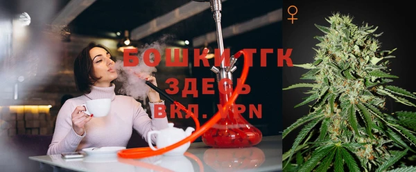 гидропоника Белокуриха