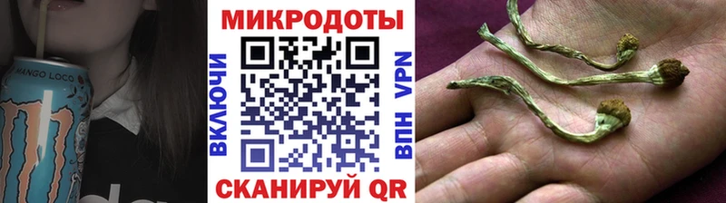 Псилоцибиновые грибы Psilocybe Буинск